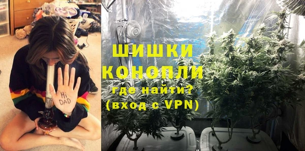трава Иннополис