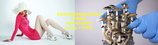 гашик Рославль