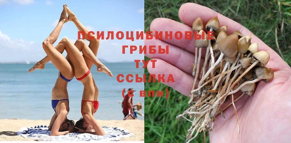 спиды Россошь