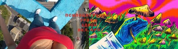гашик Рославль