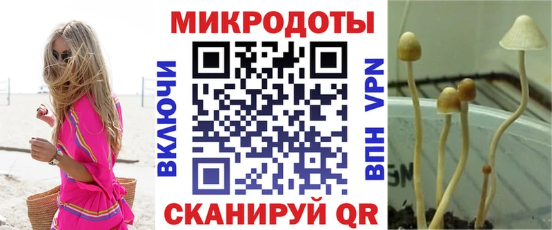Псилоцибиновые грибы GOLDEN TEACHER  продажа наркотиков  мега сайт  Сосенский 